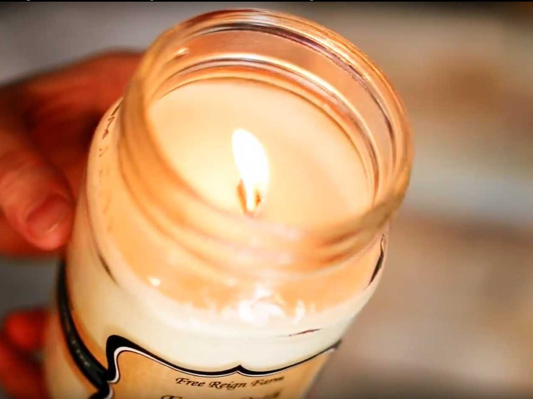 Free Reign Farm-Elizabethton必去景点