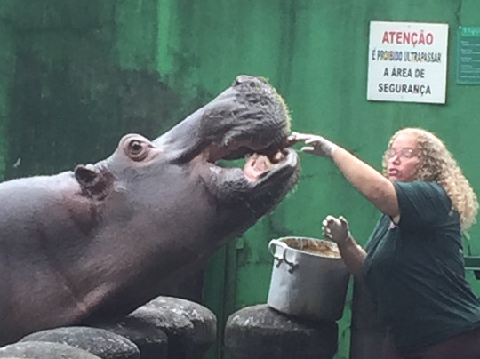 Parque Ecológico Voturuá-Sao Vicente必去景点