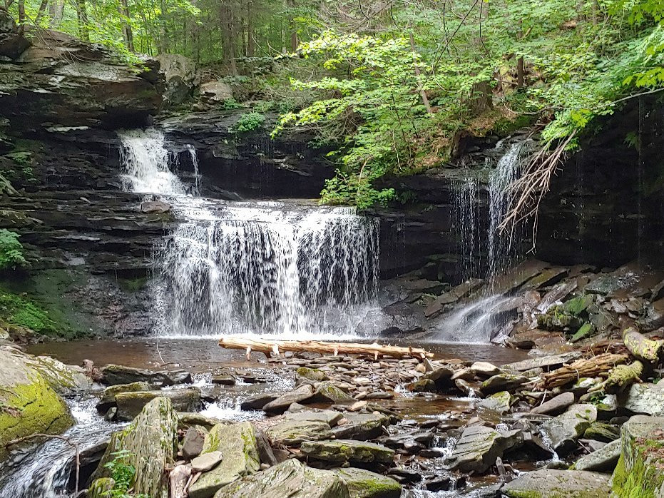 Ricketts Glen State Park景点图片