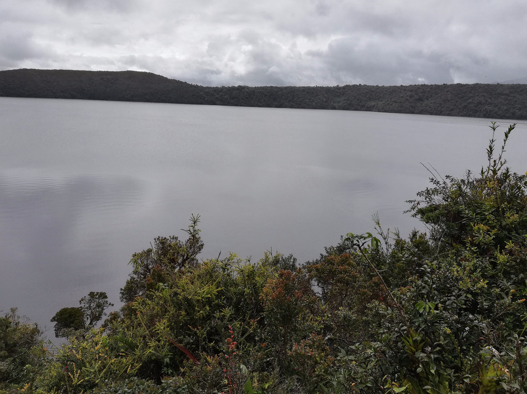 Laguna Del Buey景点图片