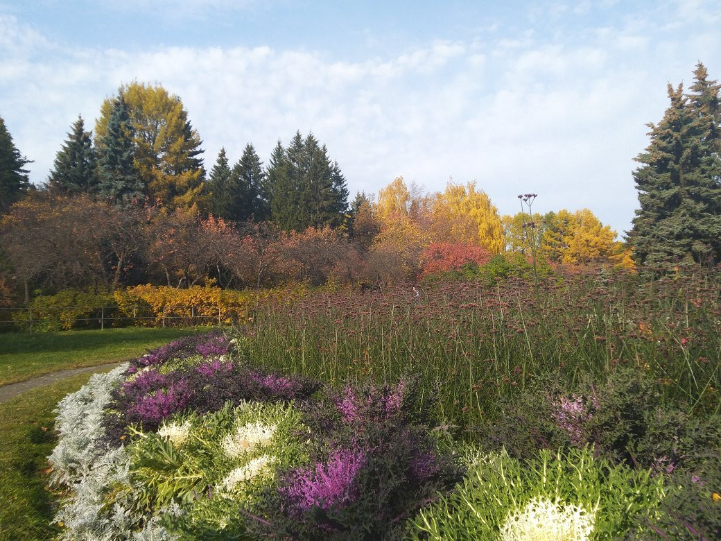 Arboretum Park Exhibition景点图片