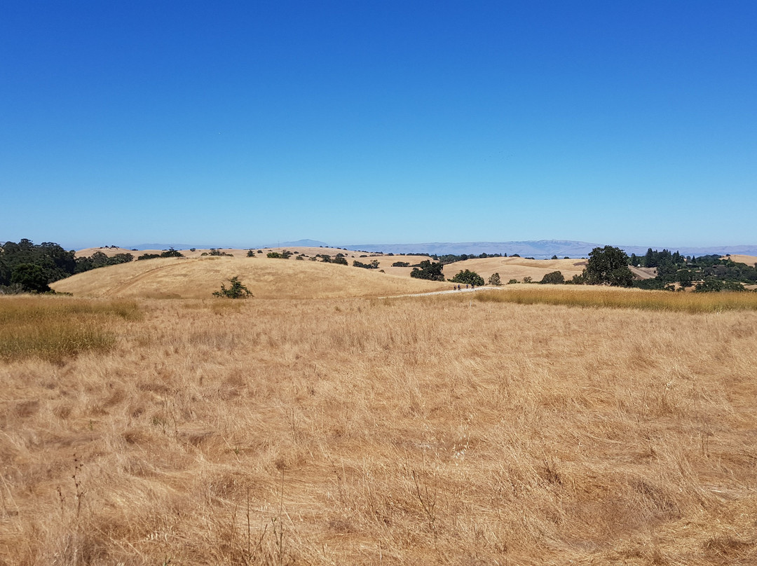 Pearson-Arastradero Preserve-帕罗奥多必去景点