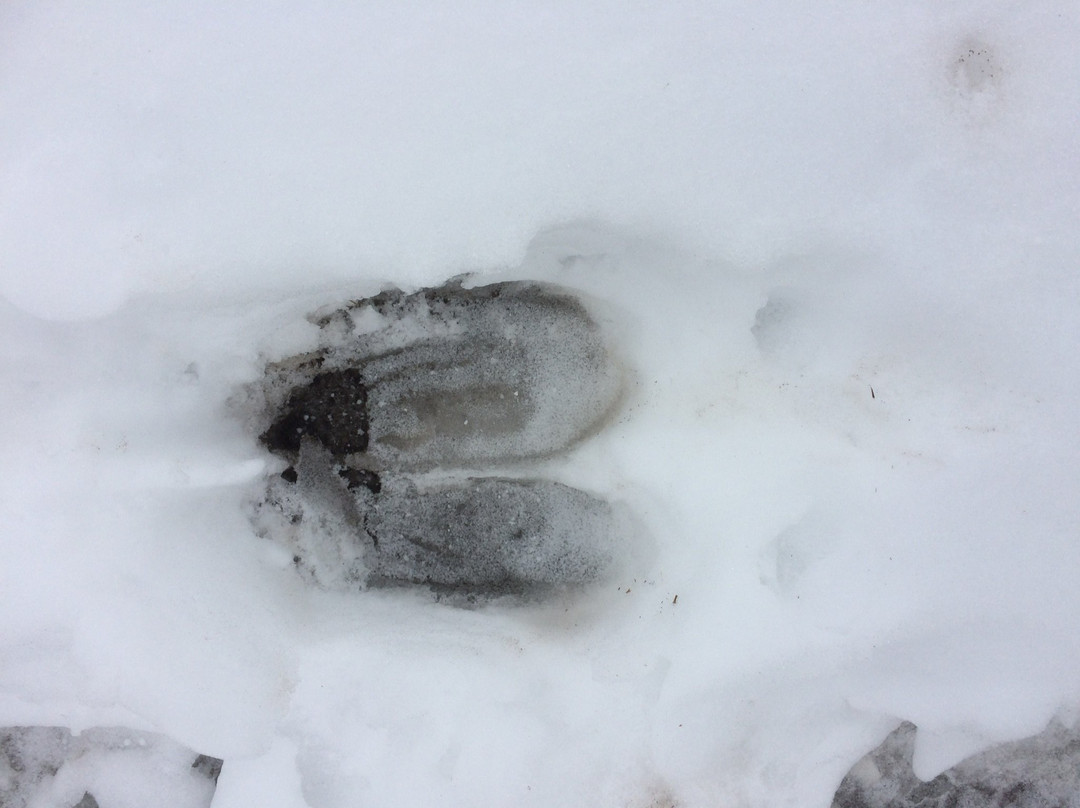 Opal Hills-贾斯珀必去景点