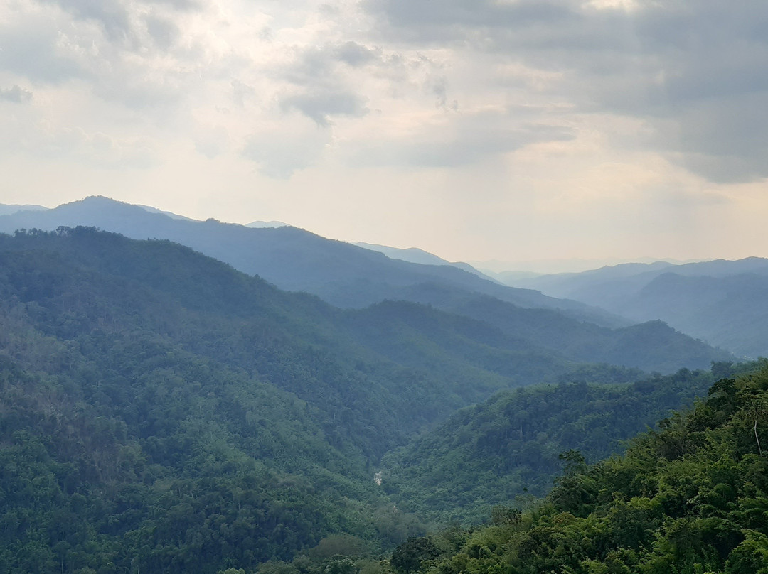Forest Retreat Laos景点图片