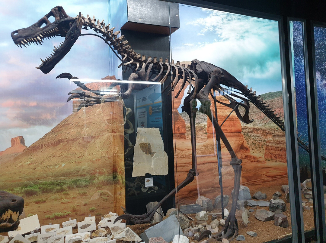 D' Bone Collector Museum-达沃必去景点