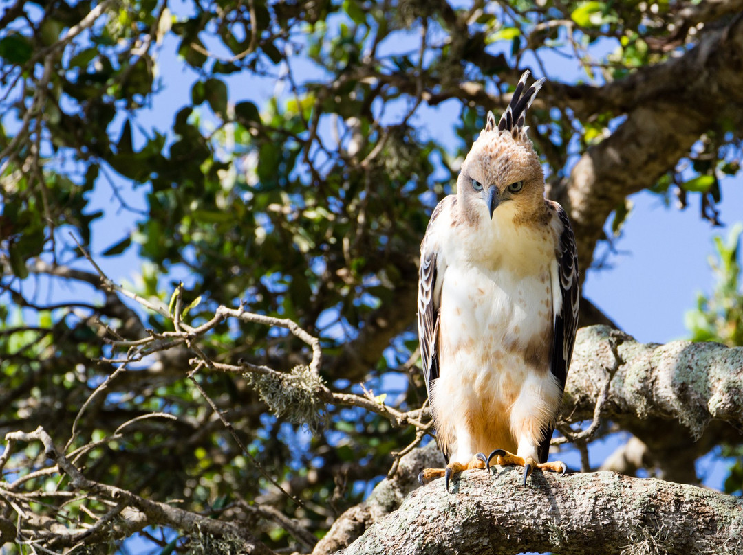 Lagoon Inn & Restaurant主图