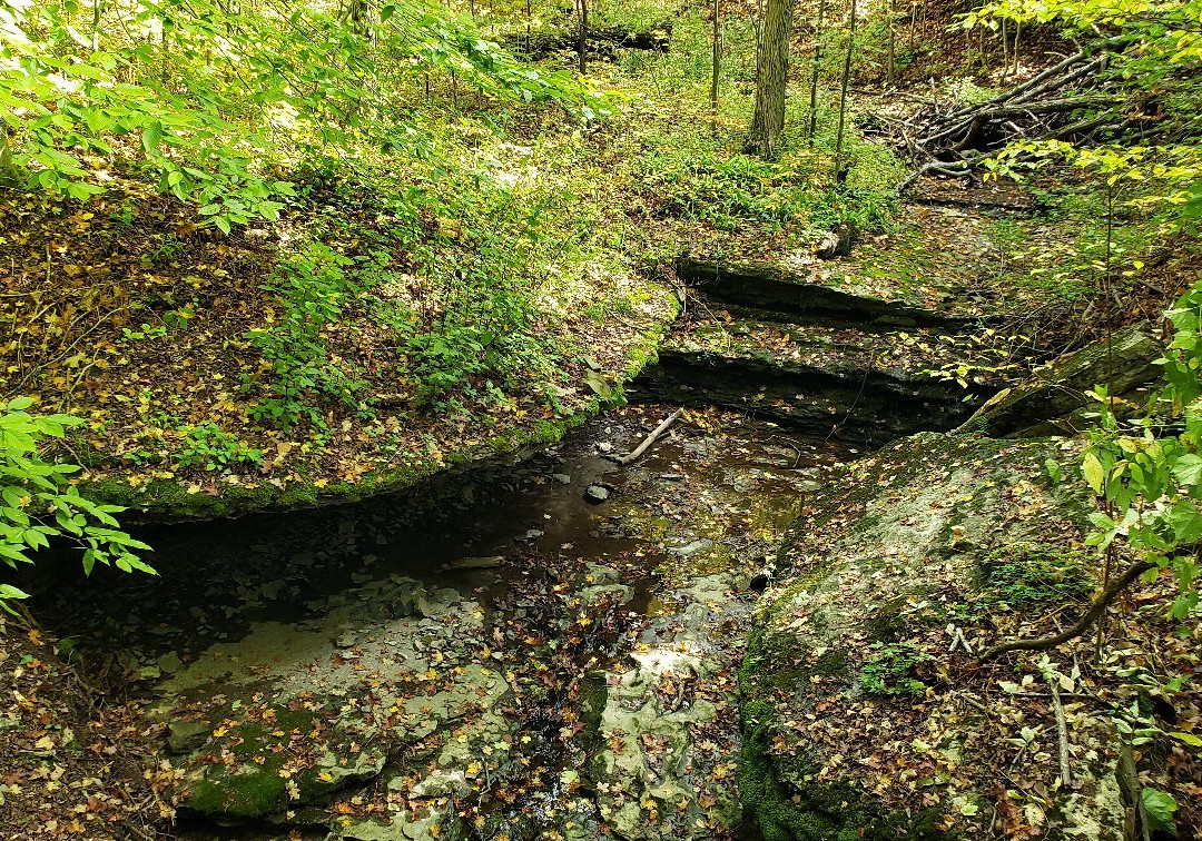 Highland Forest-Fabius必去景点