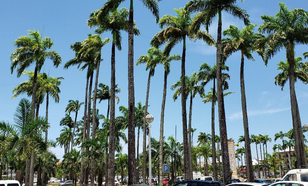 Place des Palmistes-卡宴必去景点