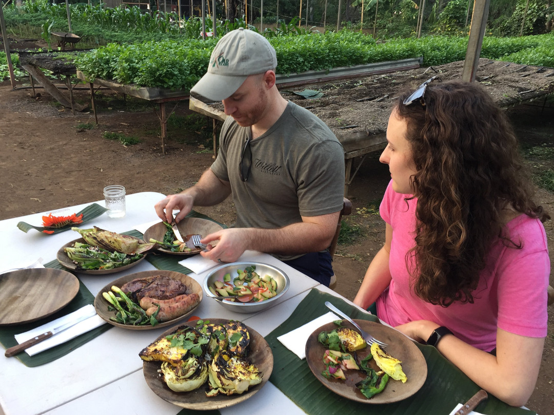Foodie Tours Costa Rica景点图片