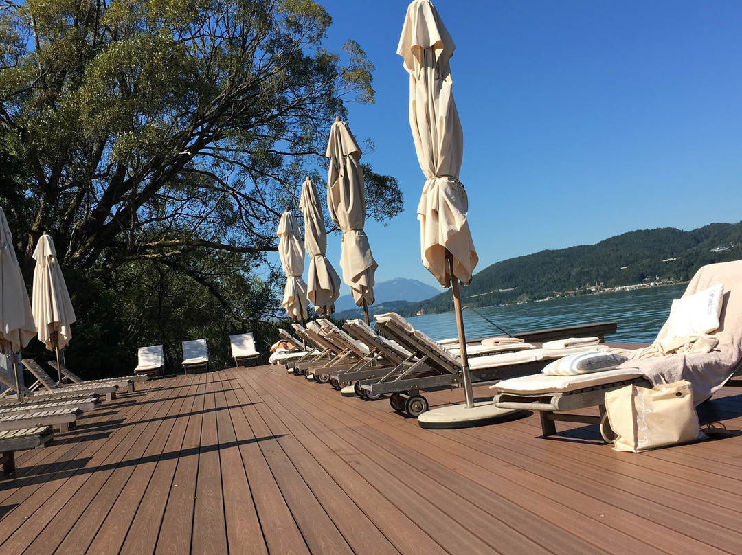 The Original FX Mayr主图