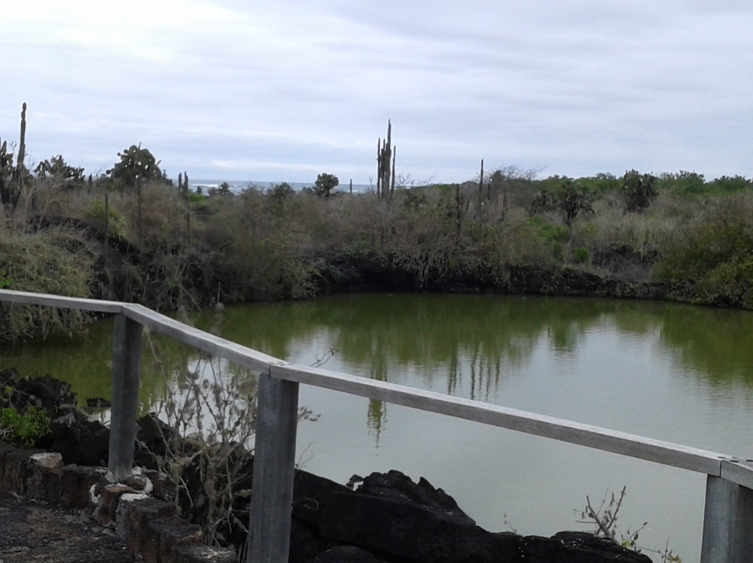Mirador los tunos-维里亚米尔港必去景点