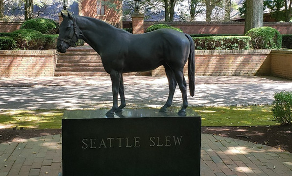 Unique Horse Farm Tours-列克星敦必去景点