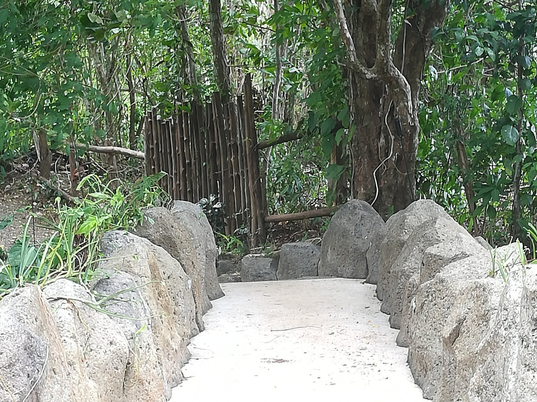 Pumilio Mountain & Ocean Hotel主图