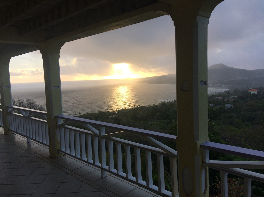 Treetops Villa Guest House主图