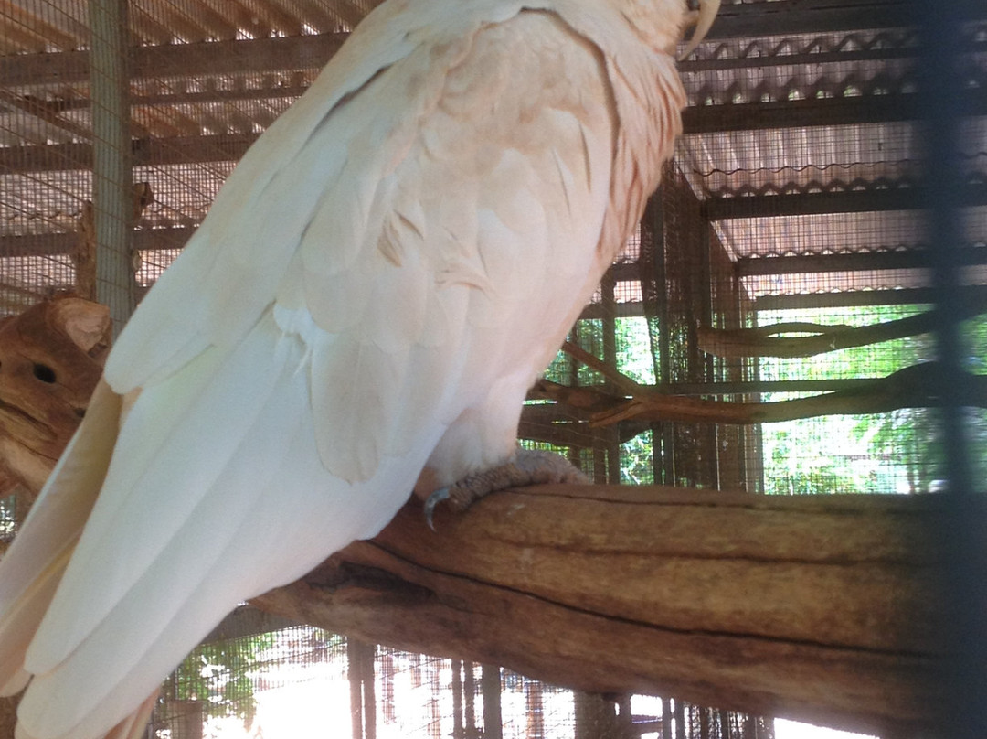 12 Mile Bird Park景点图片