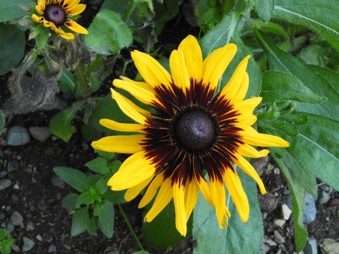 Government House-圣约翰必去景点