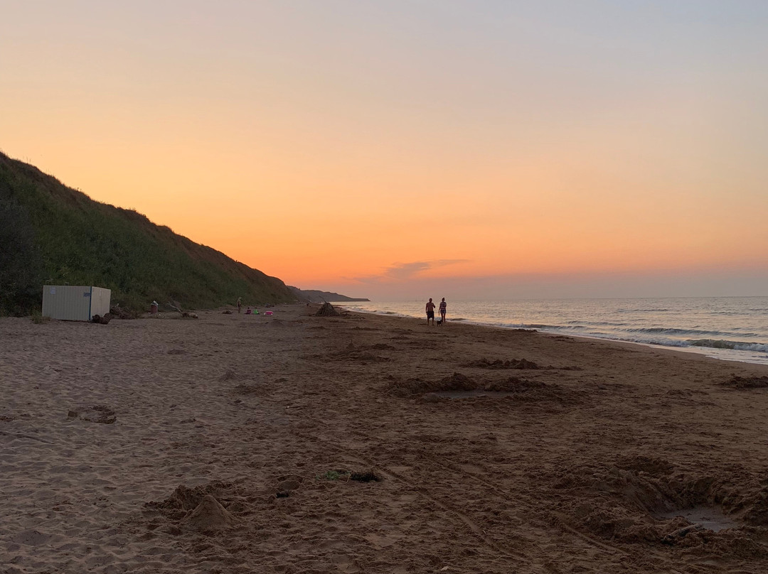 Central Beach景点图片