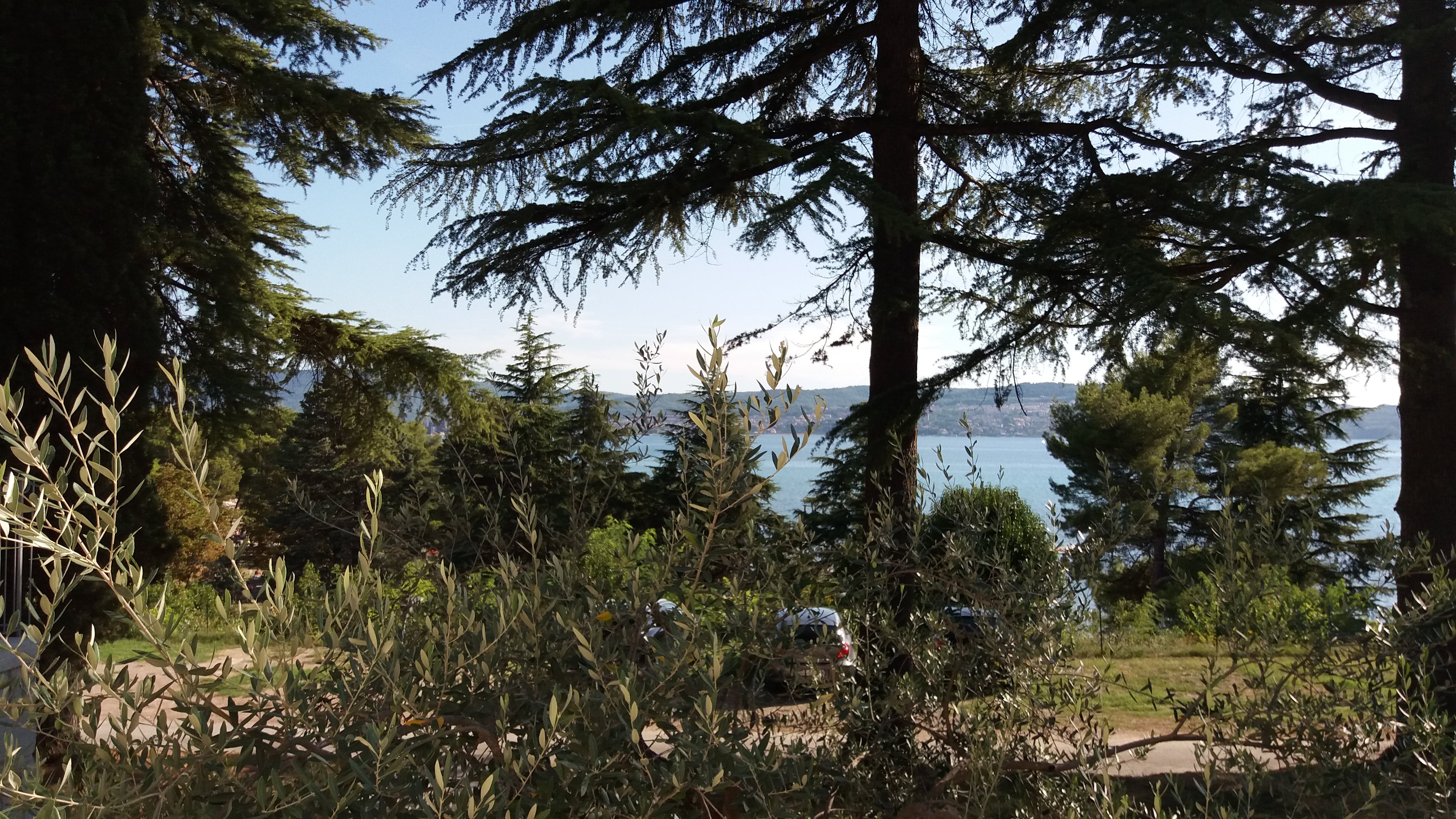 Olive Suites - Hotel & Resort Adria Ankaran-酒店景观