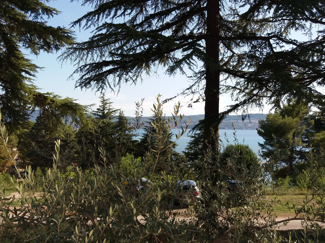 Olive Suites - Hotel & Resort Adria Ankaran主图