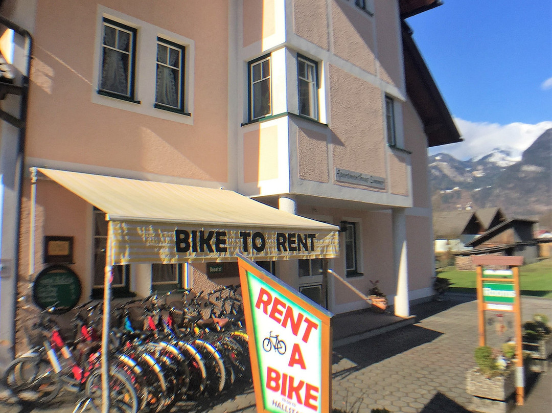Rent A Bike Obertraun-Hallstatt-上特劳恩必去景点