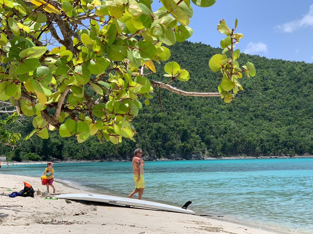 Maho Bay Beach景点图片