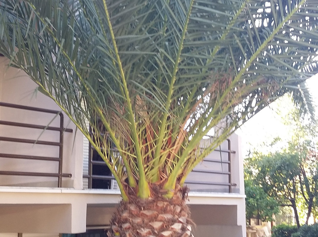 Vlachogiannis Hotel主图