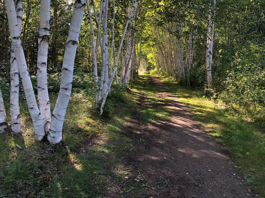 Daly Point Nature Reserve-Bathurst必去景点