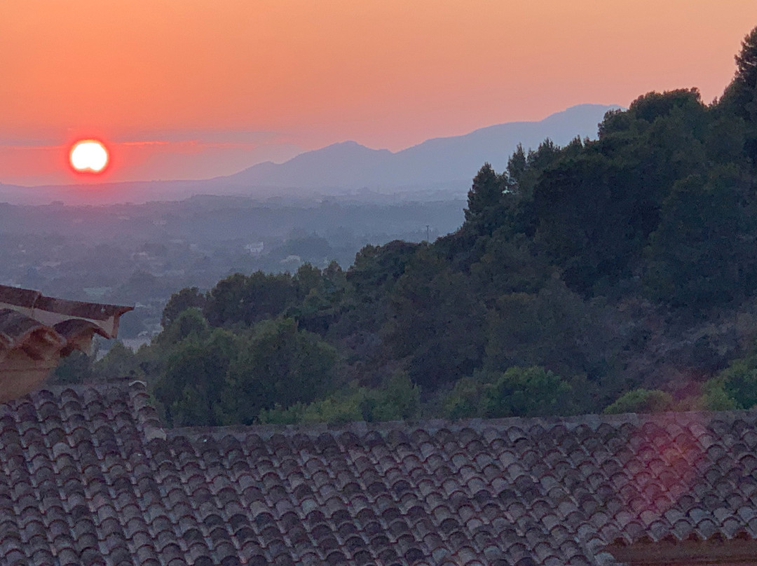 马洛卡柏悦酒店主图