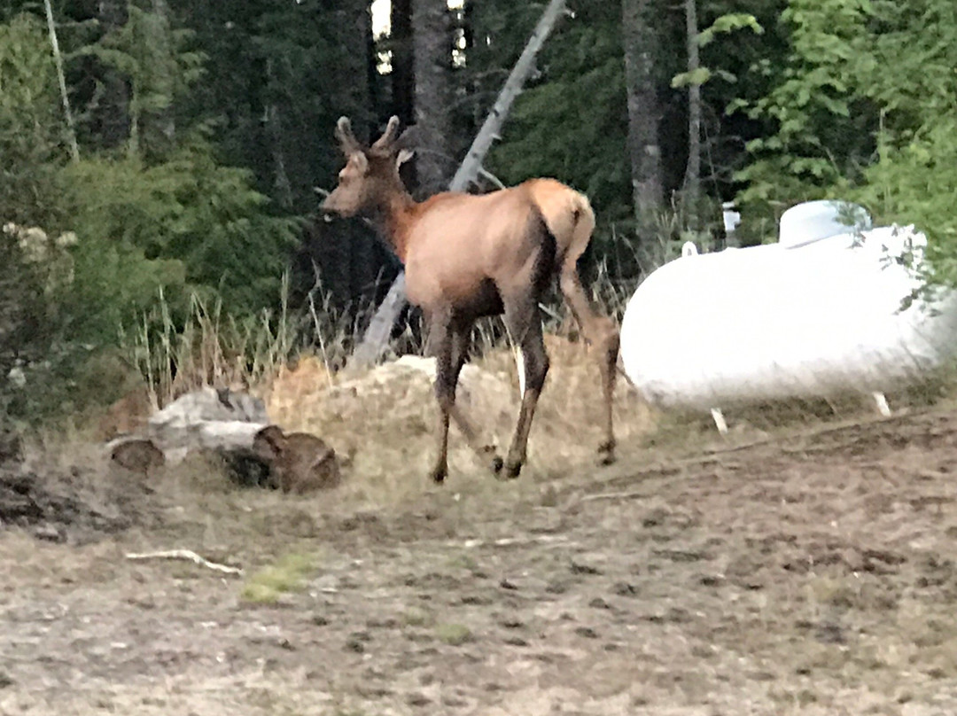 Mountain View Lodge主图