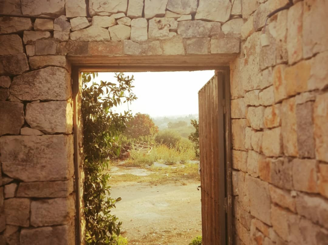 Bed & Breakfast Masseria Puglia Antica主图
