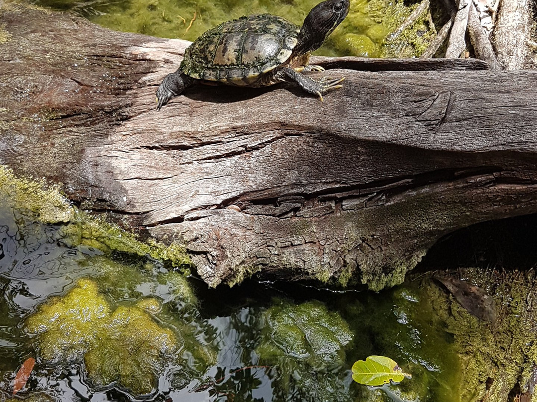 Bicycool-Tulum-图伦必去景点
