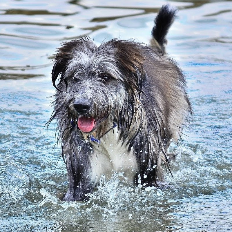 Hotel La Casa del Rio主图