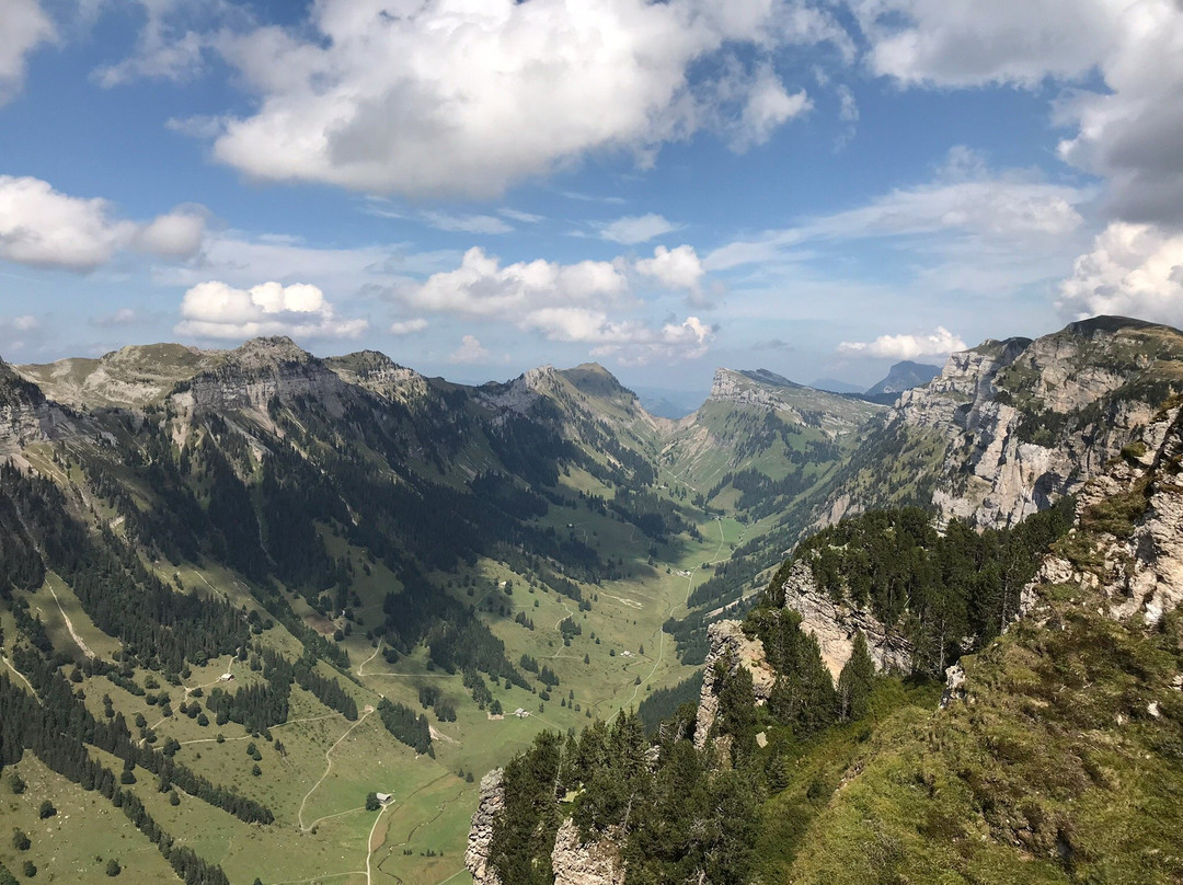 Trotti-Bike Niederhorn-贝阿滕贝格必去景点