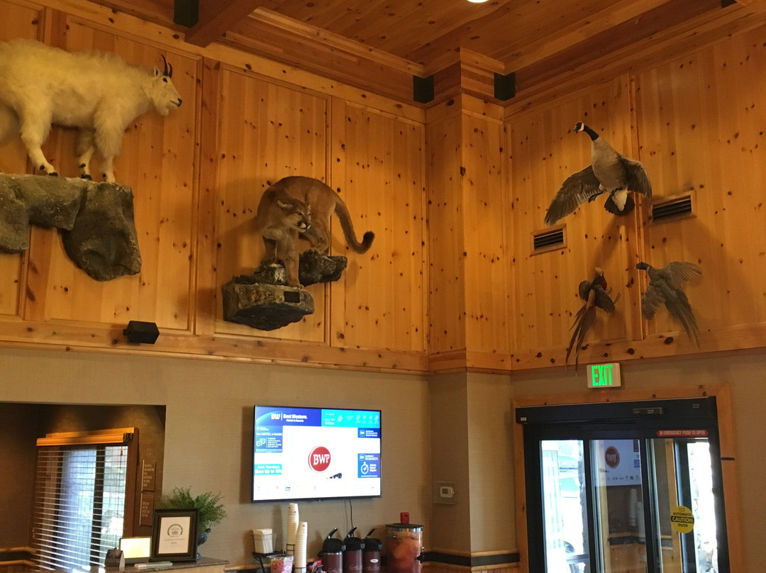 Best Western Plus Olympic Inn主图