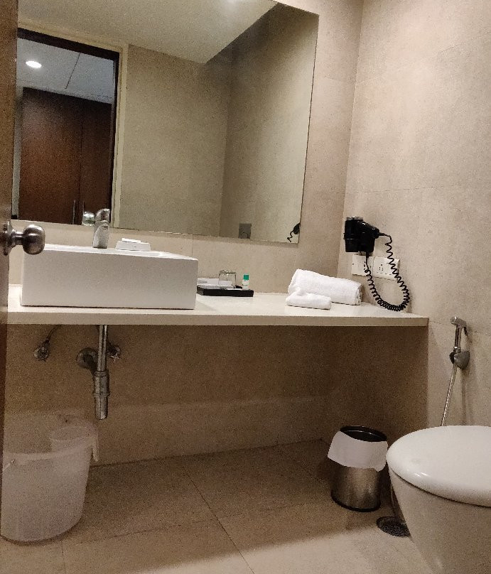 Hotel Minerva Grand主图
