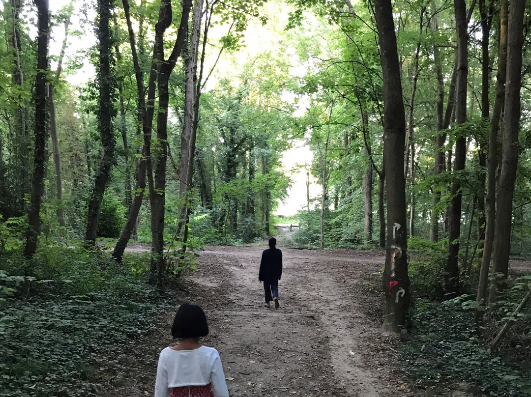 Grigny旅游攻略图片