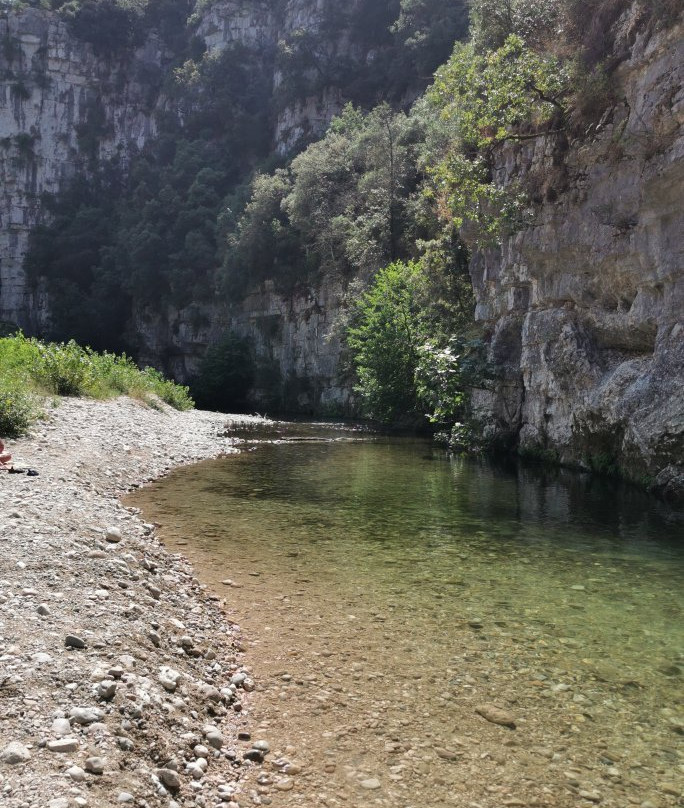 Parc des Rives du Loup景点图片