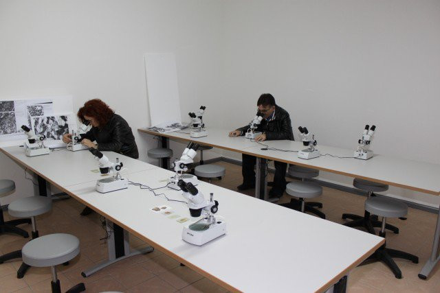 Museo Paleontologico景点图片