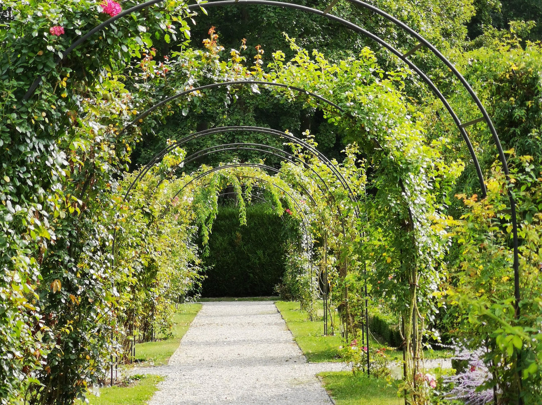 Abbaye Royale de Chaalis景点图片