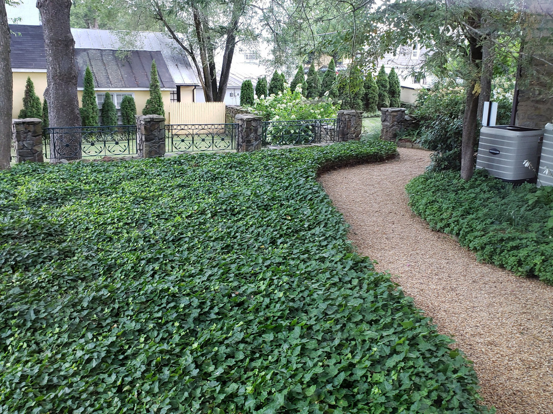 The Red Fox Inn & Tavern主图