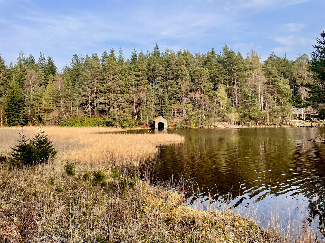 Birsemore Loch景点图片