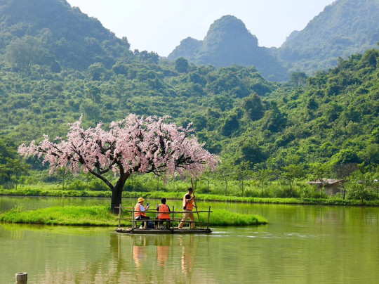 盈香生态园-佛山市必去景点