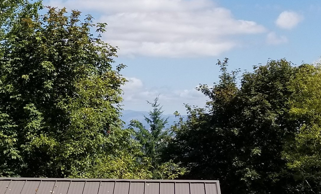 Hogan Butte Nature Park-格雷舍姆必去景点