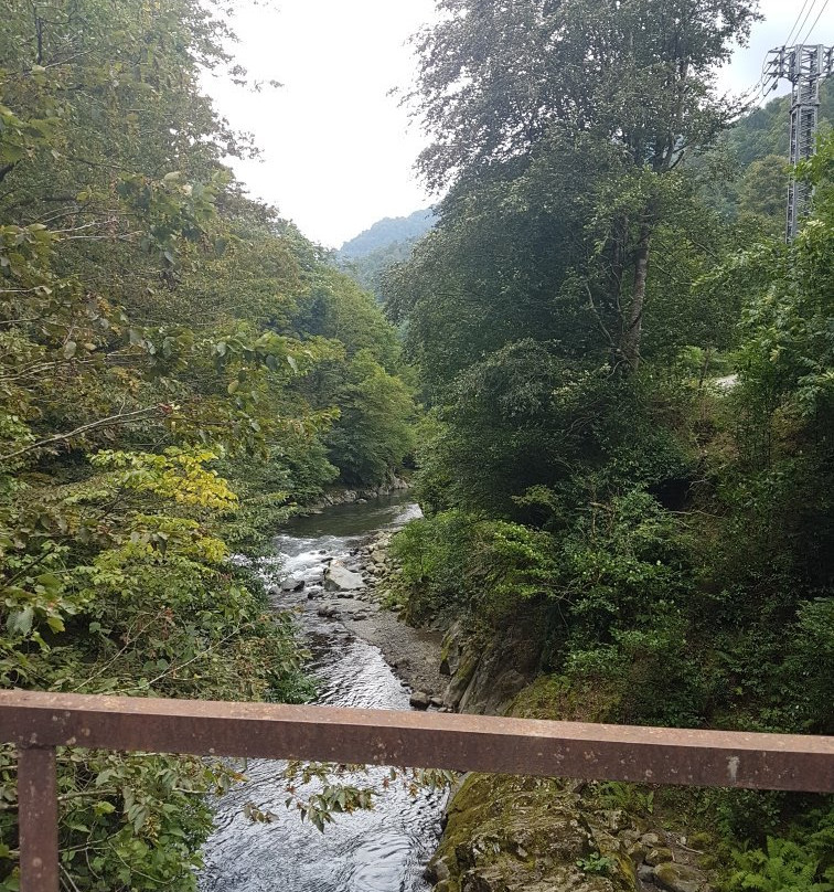 National Park Kintrishi-Kobuleti必去景点