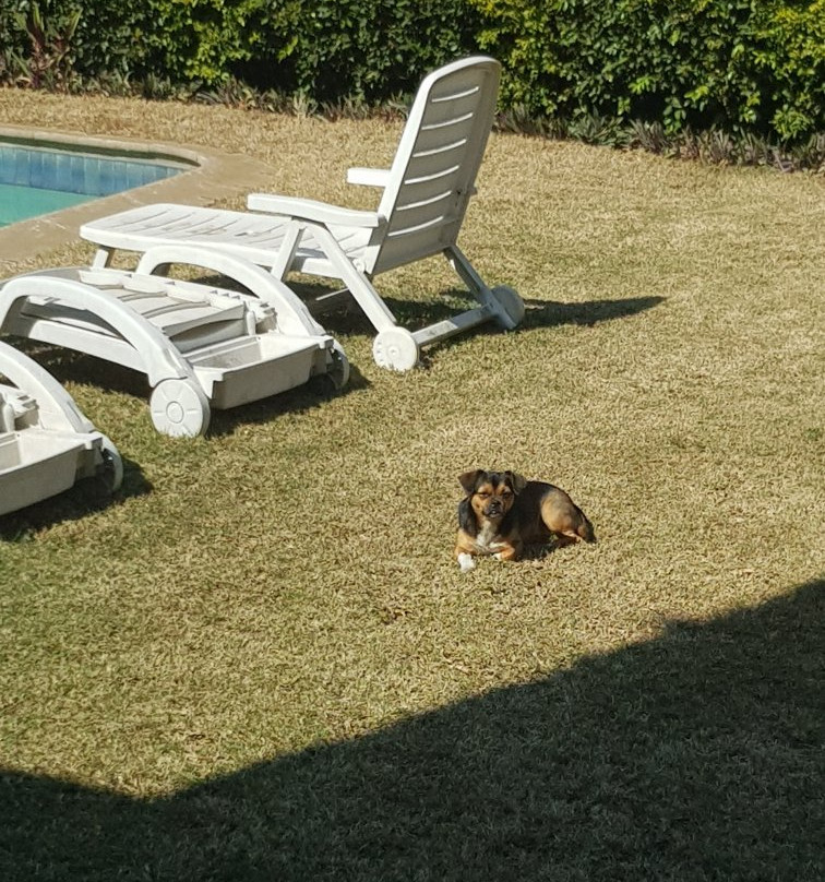 Holland House B&B Durban主图