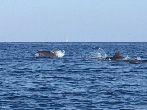 Ocean Vibes Algarve-法罗必去景点