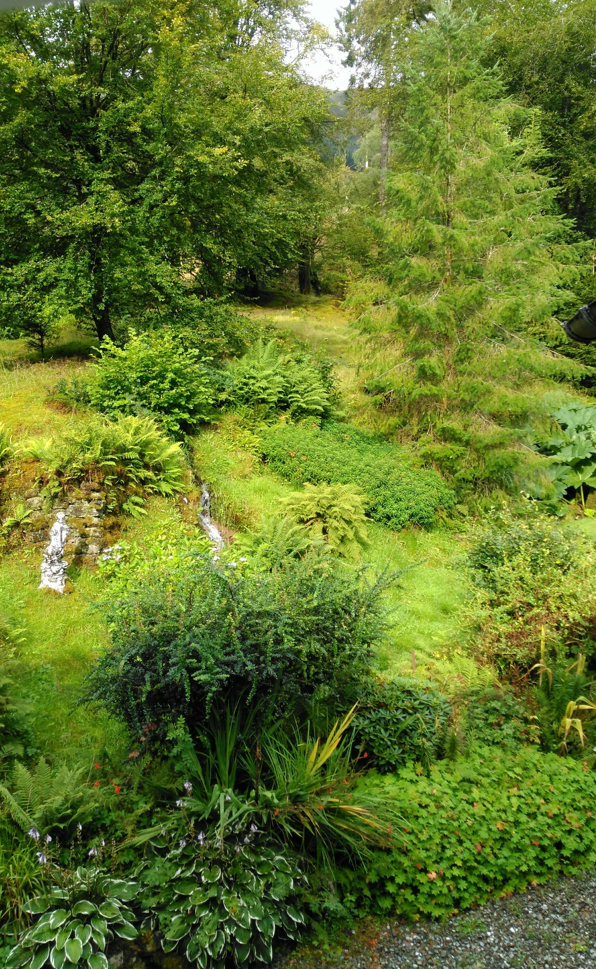 The Watermill-官方