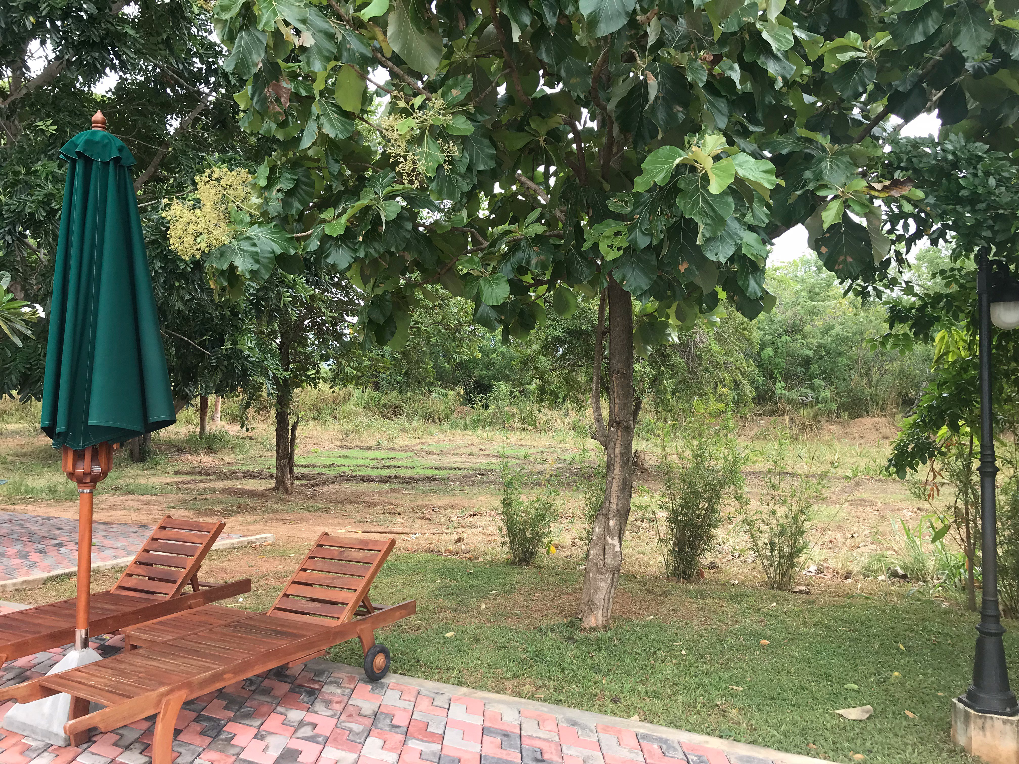 Oak Ray Elephant Lake Resort-泳池