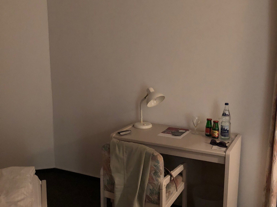 黑登纳尔酒店主图