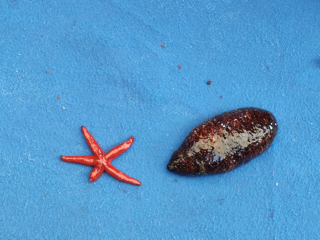 Pescaturismo Valentina